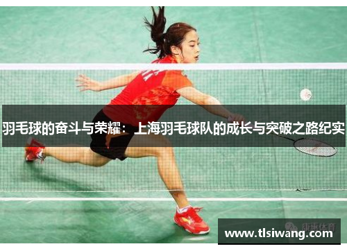 羽毛球的奋斗与荣耀：上海羽毛球队的成长与突破之路纪实