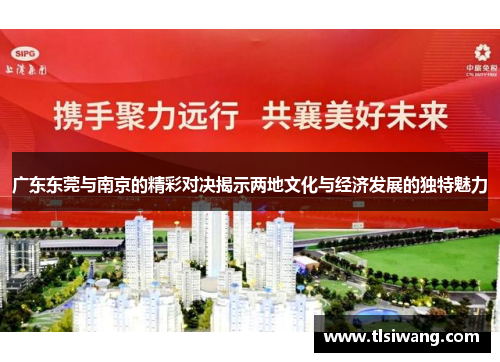 广东东莞与南京的精彩对决揭示两地文化与经济发展的独特魅力